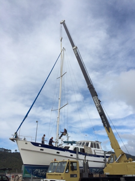 Georgia Alexis-mast removal