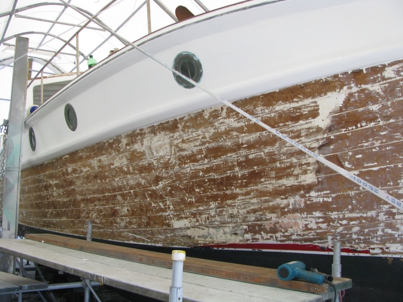 Marguerite - stripping hull paint
